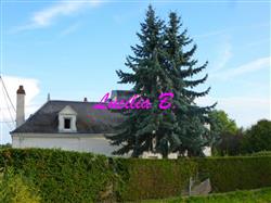 Immobilier - 