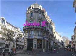 Immobilier - 