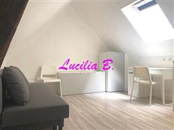 Immobilier - 