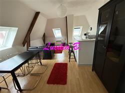 Immobilier - 