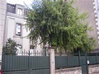 Immobilier de prestige : Maison Bourgeoise � vendre | Lucilia B. : votre sp&eacute;cialiste de l'immobilier sur Tours et environs