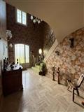 Immobilier - 