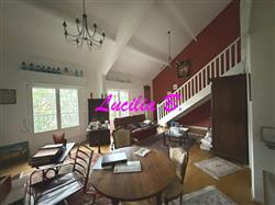 Immobilier - 